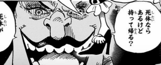 ワンピース キャラクター死亡図鑑